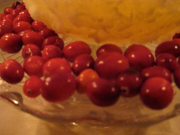 cranberries1