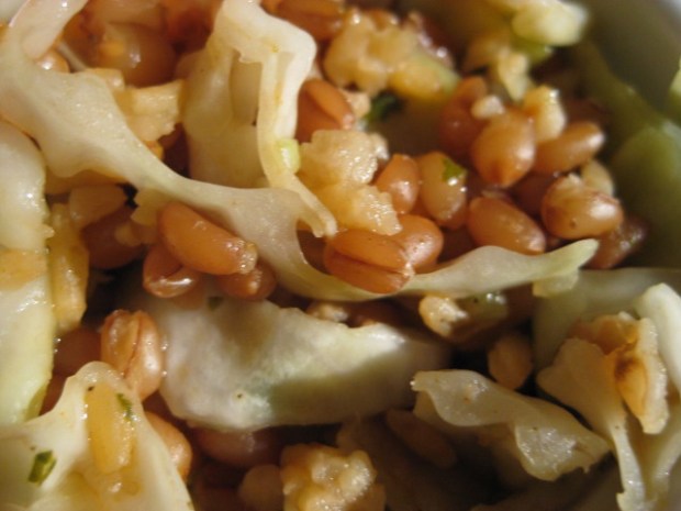 Dominican rice, barley, cabbage, and sofrito sauce