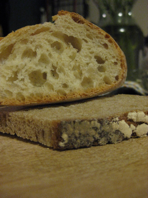 hunk of French bread, slice of "organic wheat" bread