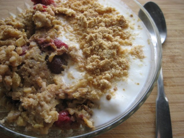with 1/2 cup yogurt, 2 crumbled graham sticks, and more powdered ginger