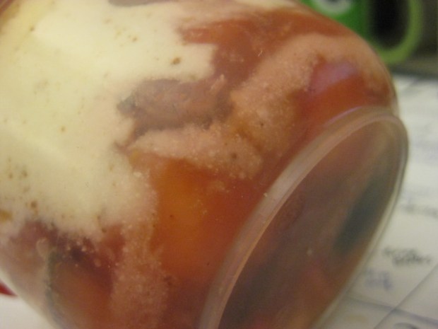 picture-347 picture-347