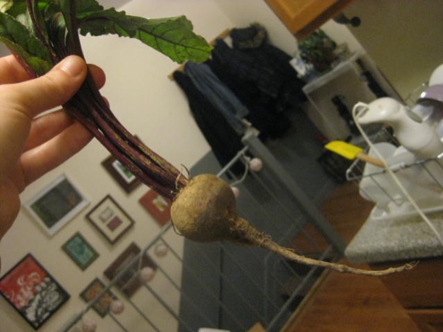 IMG_3172.JPG IMG_3172.JPG