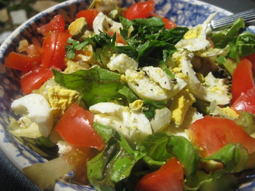 IMG_3875.JPG IMG_3875.JPG