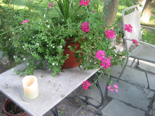 IMG_3884.JPG IMG_3884.JPG