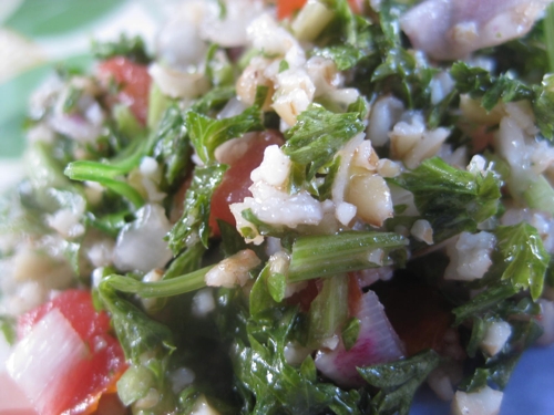 IMG_3892.JPG IMG_3892.JPG