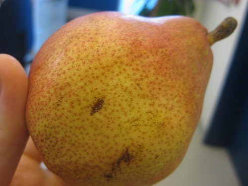 IMG_4007.JPG IMG_4007.JPG