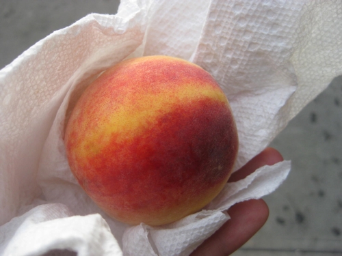 IMG_4030.JPG IMG_4030.JPG