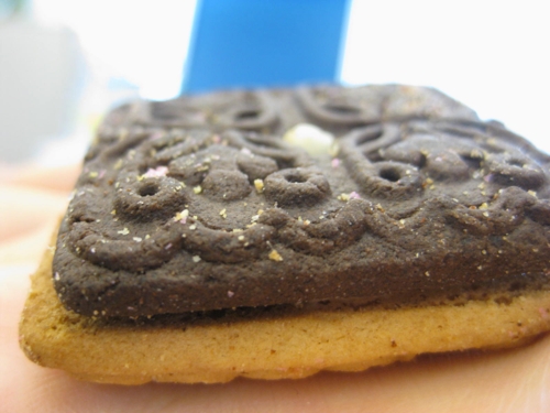 IMG_5845.JPG IMG_5845.JPG