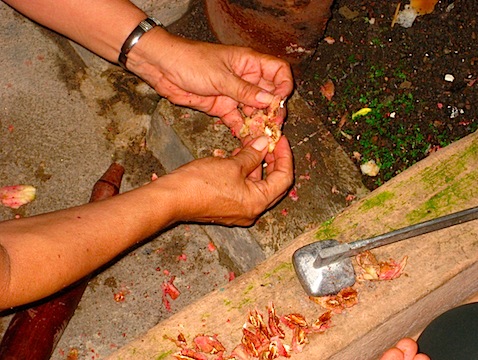 nicaragua%2520ometepe%2520004