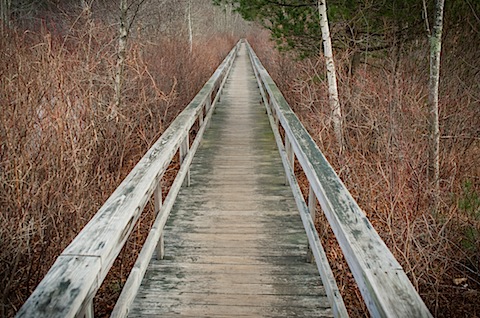 SARAHmcCfinals-4860-2