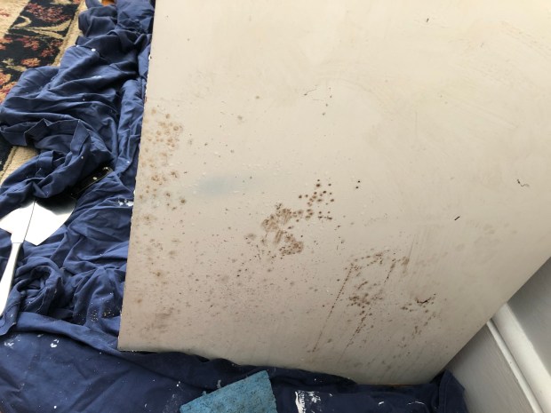 ALZtI7EwR6eewY5%mjcJoQ